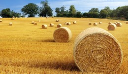Pre-harvest preparations